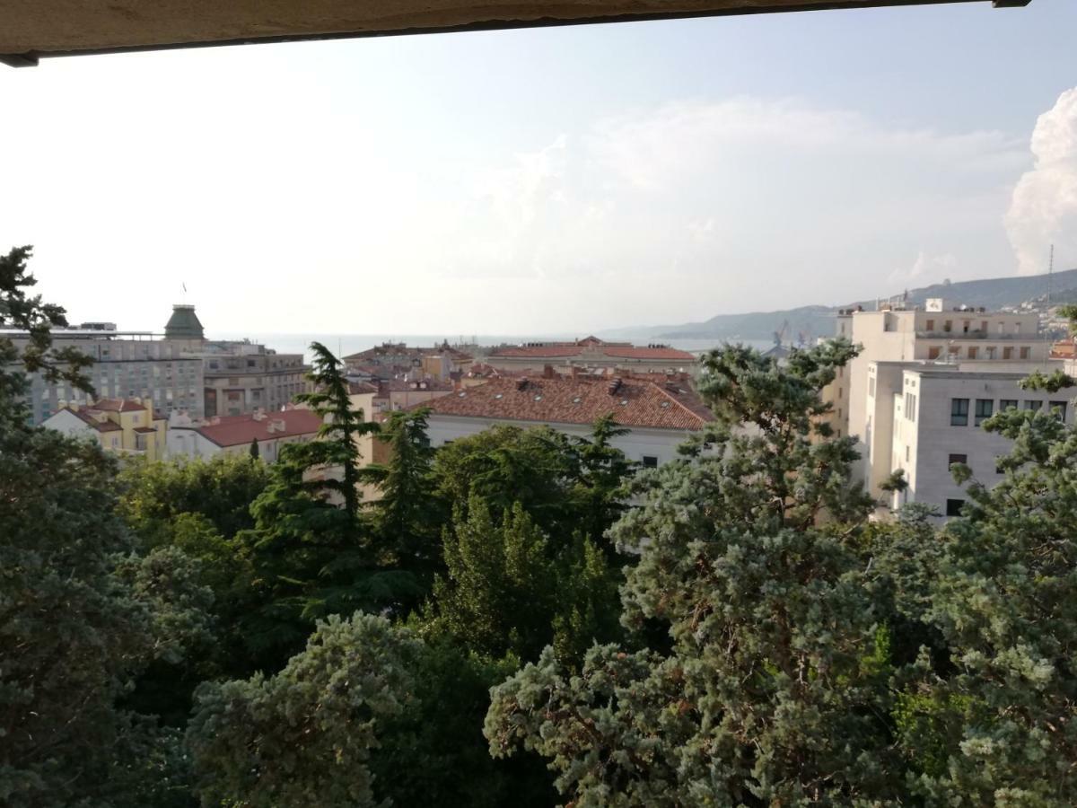 Residence Teatro Romano Trieste Bagian luar foto